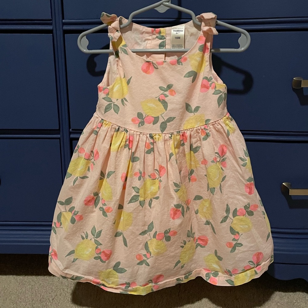 OshKosh Toddler Dress